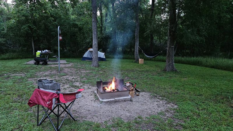 Stargazing and Quiet Nights Under the Canopy