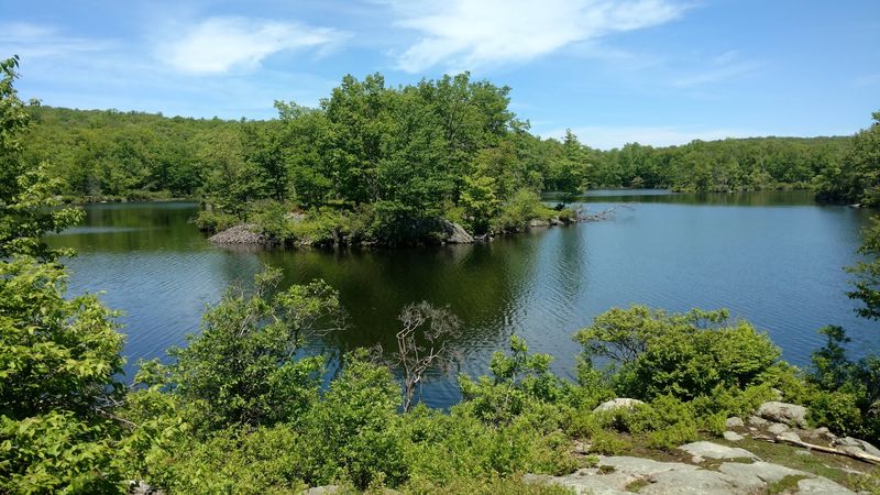 Farny State Park and the Wilderness That Wraps It All Together