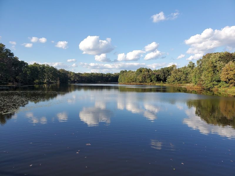 Farrington Lake