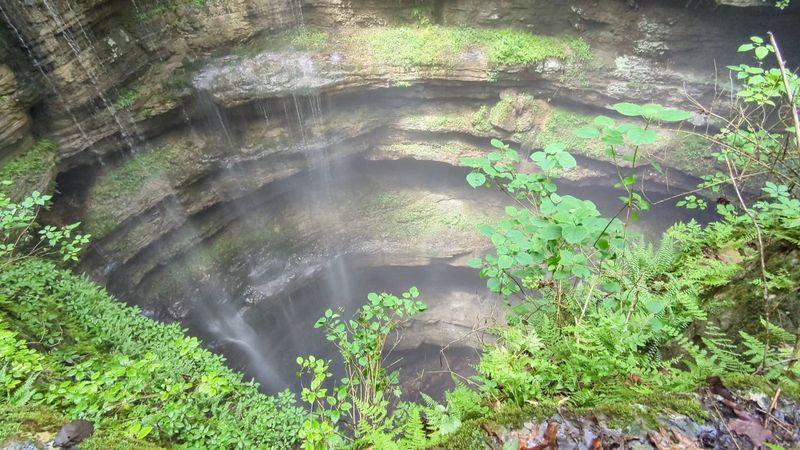 Fern-Covered Ledges and a Fragile Ecosystem Worth Protecting
