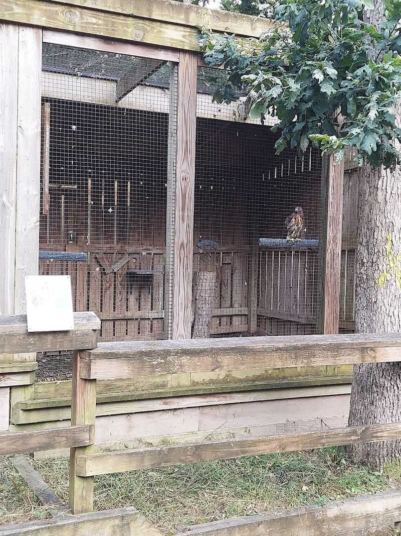 Finding the Wildlife Center of Virginia in Waynesboro