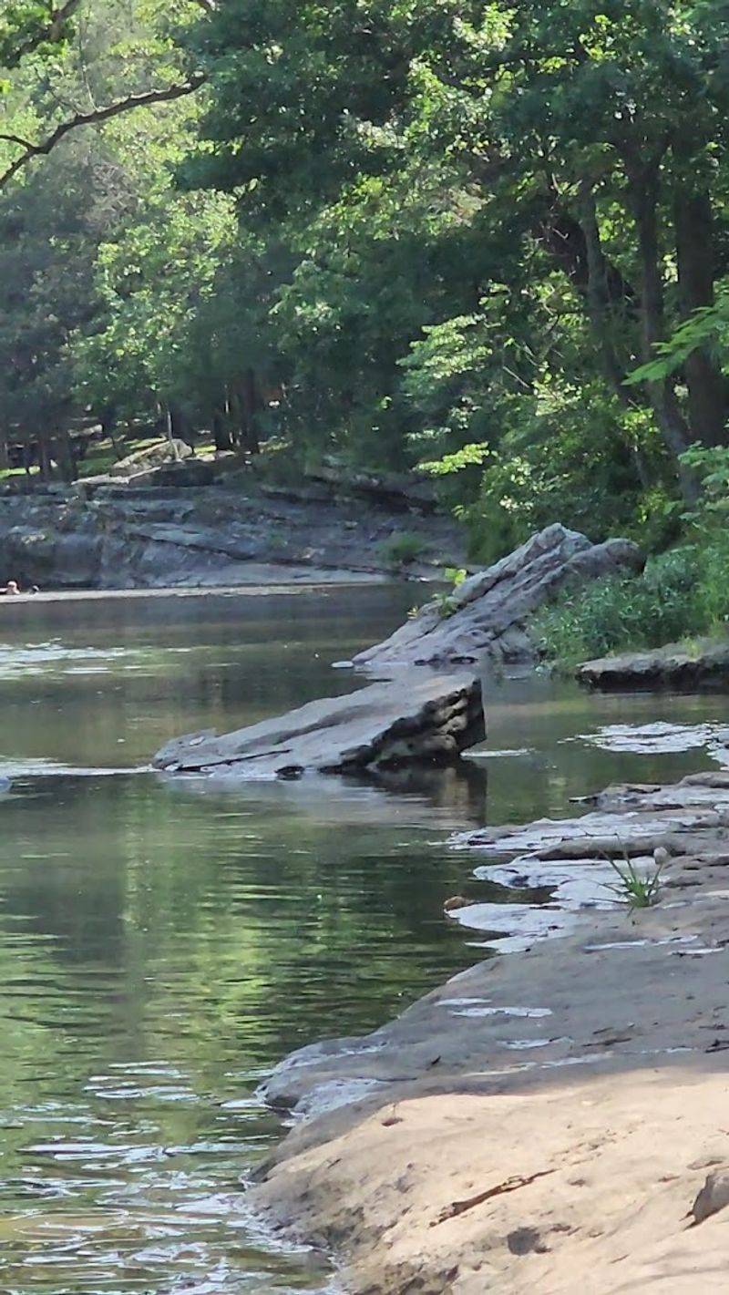 Fishing Along the Creek Is a Quiet Bonus