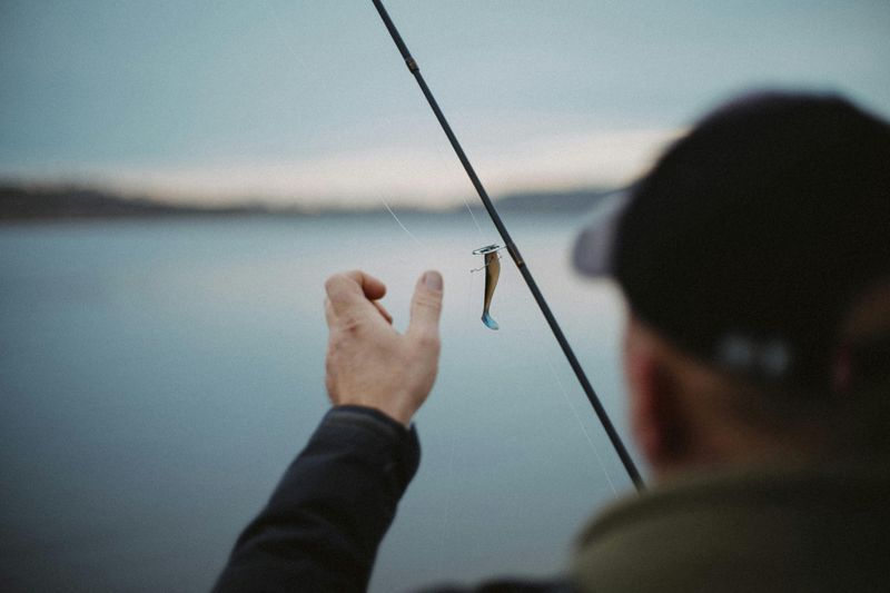 Fishing Along the Shore and What You Might Catch