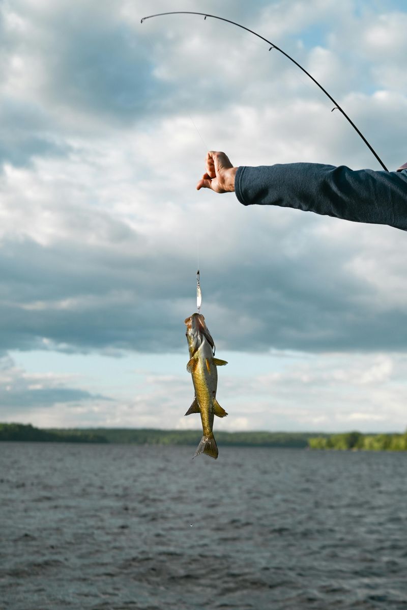 Fishing Here Feels Like A Well-Kept Local Secret