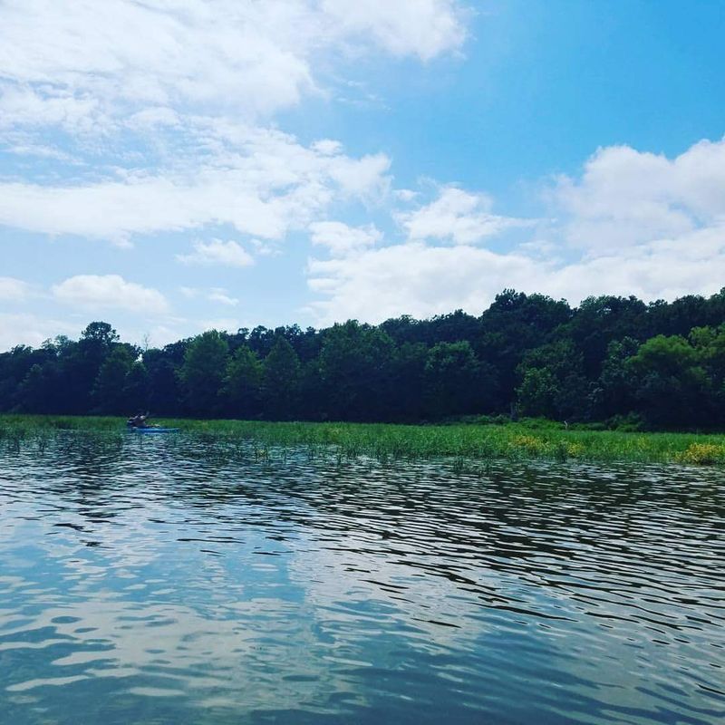 Fishing Is the Main Event Here