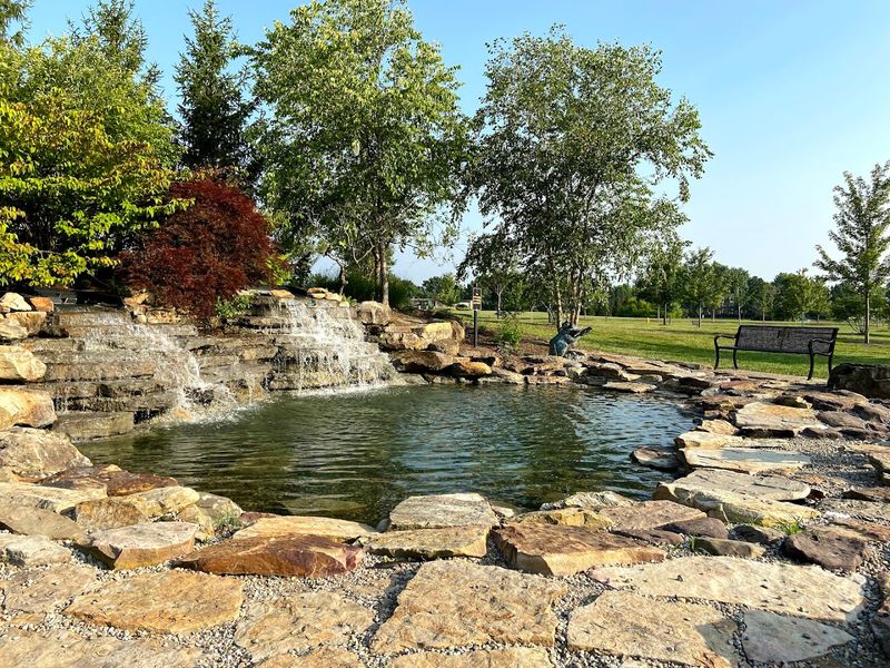 Wetlands Area Reveals Hidden Natural Treasures