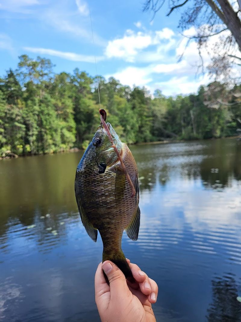 Fishing License Requirements and Practical Tips