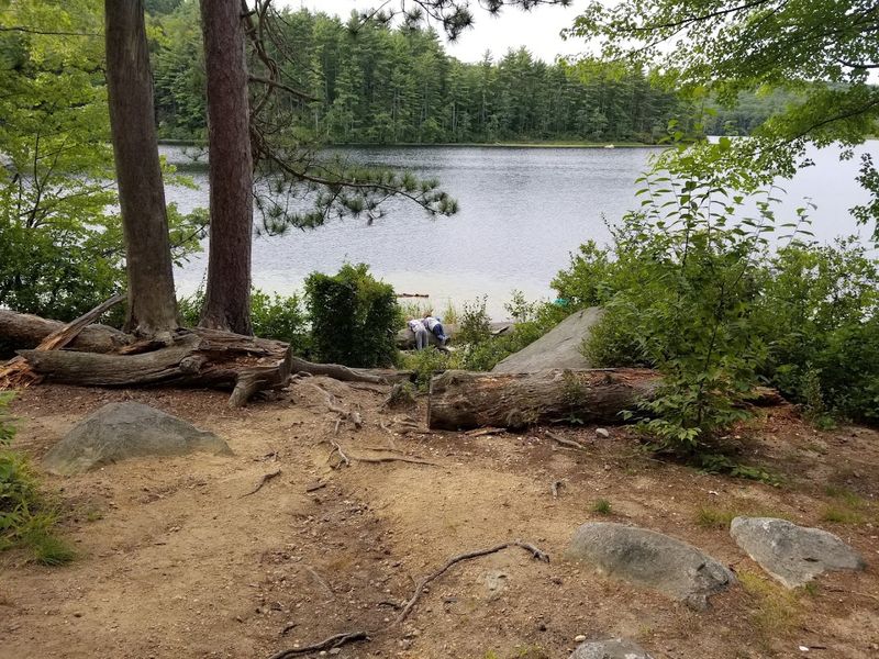 Fishing Spots for Every Skill Level