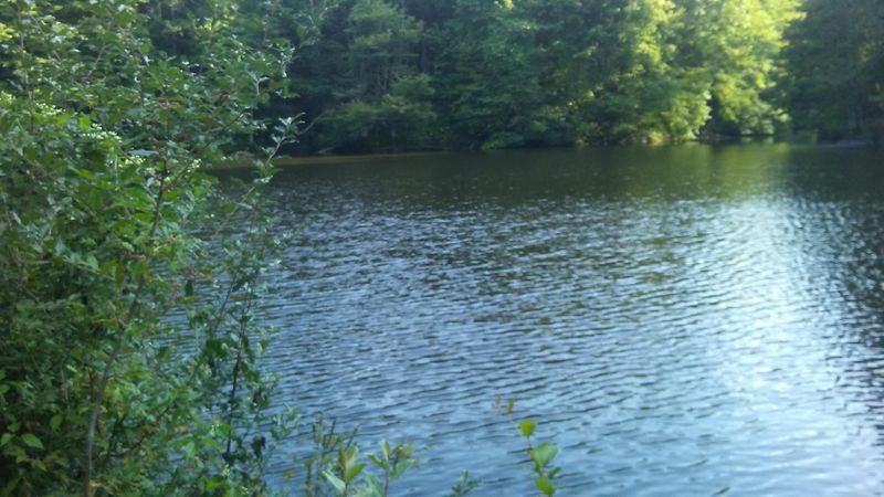 Fishing, Swimming, and Playing Along the Mountain Streams