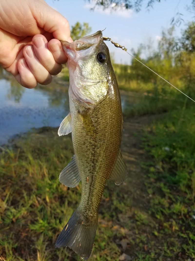 Fishing That Keeps Anglers Coming Back Season After Season