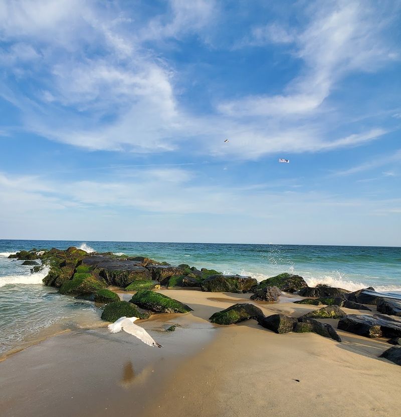 Fishing at Manasquan Beach and the Inlet