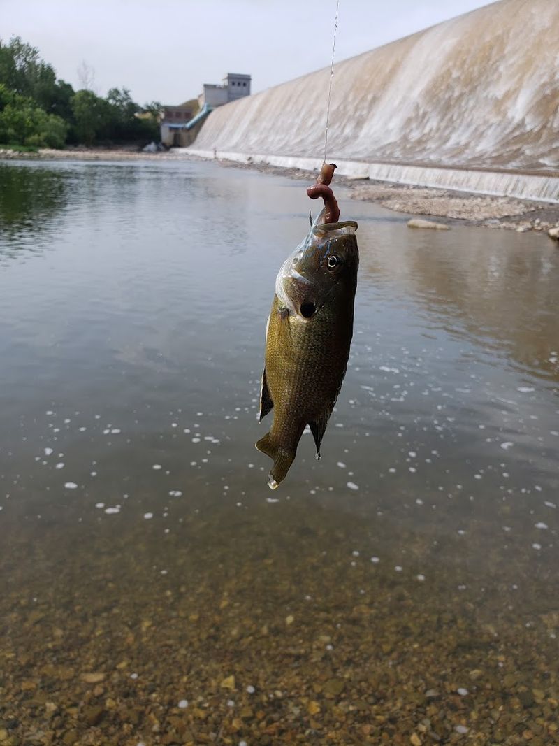 Fishing at Spavinaw Lake Is a Serious Business