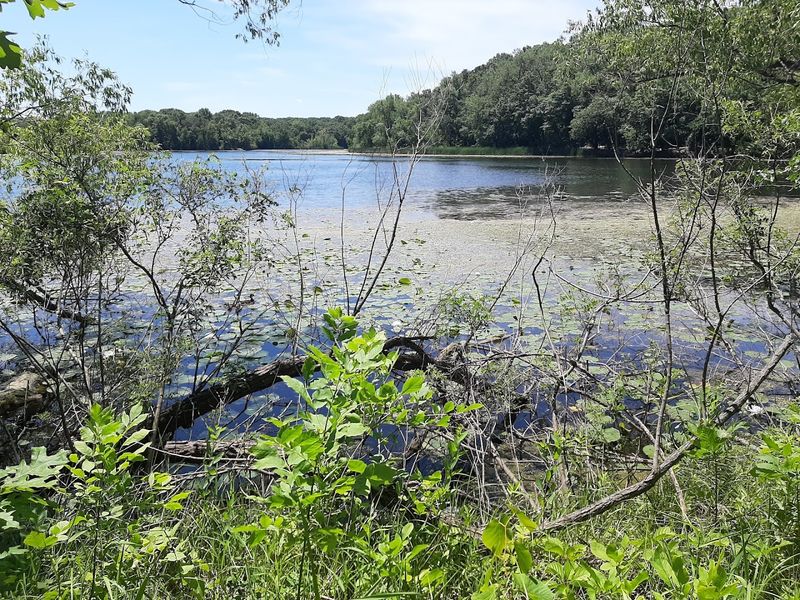 Fishing on a 300-Acre Lake That Actually Delivers