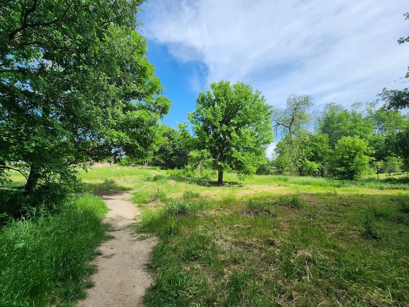 Five Acres of Rolling Urban Prairie Unlike Anything Nearby