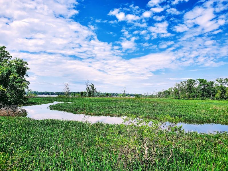Five Thousand Acres of Wild Maryland to Explore