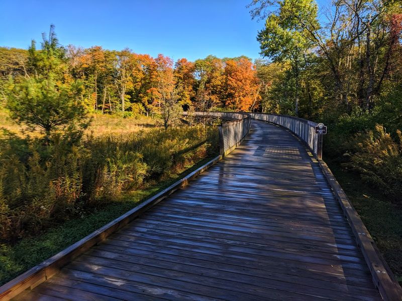 Flat Fork Creek Park Trail, Fishers