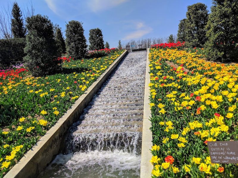 Floral Terraces Worth Every Step