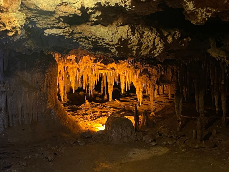 Florida Caverns State Park