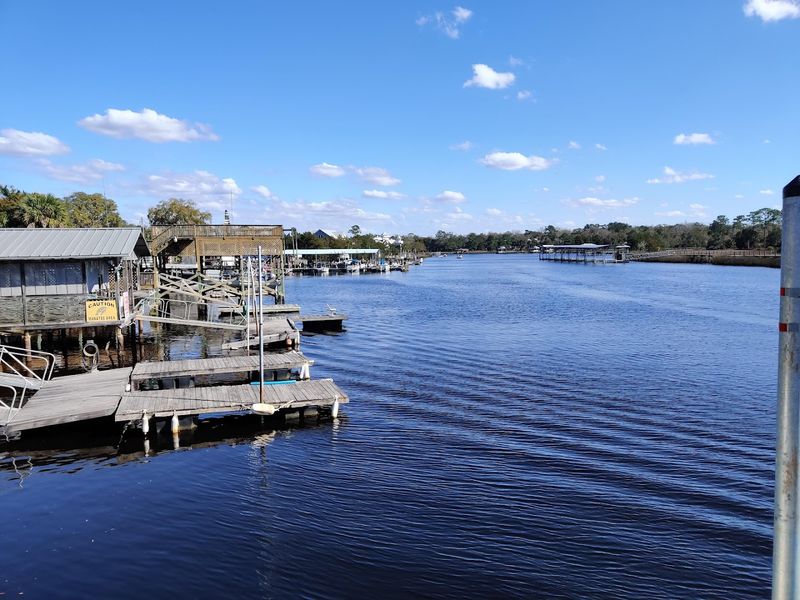 The Village That Time Forgot: Steinhatchee's Quiet Gulf Coast Charm