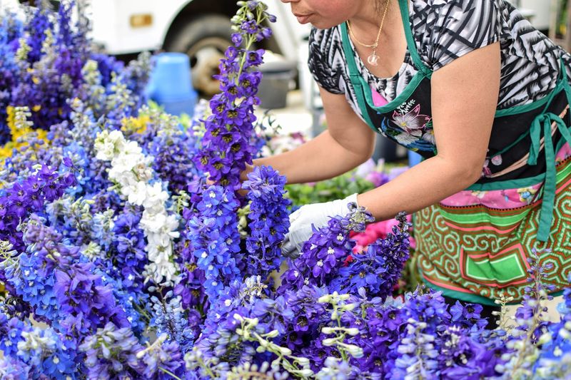 Flowers That Quietly Steal The Show