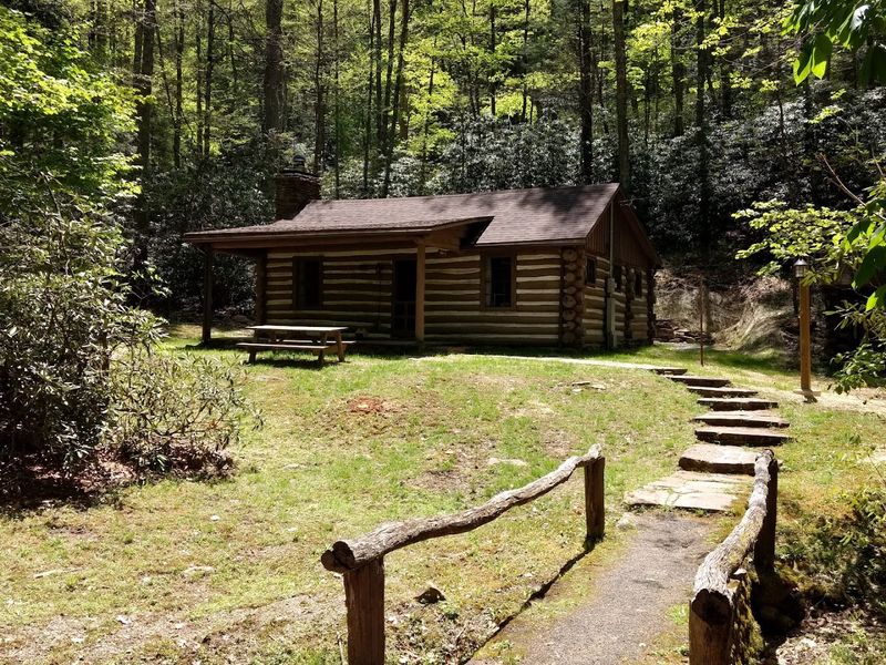 Food, Local Eats, and the Joy of Cooking in a Cabin Kitchen