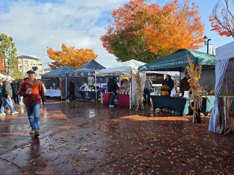 Food Vendors And The Festival Feast