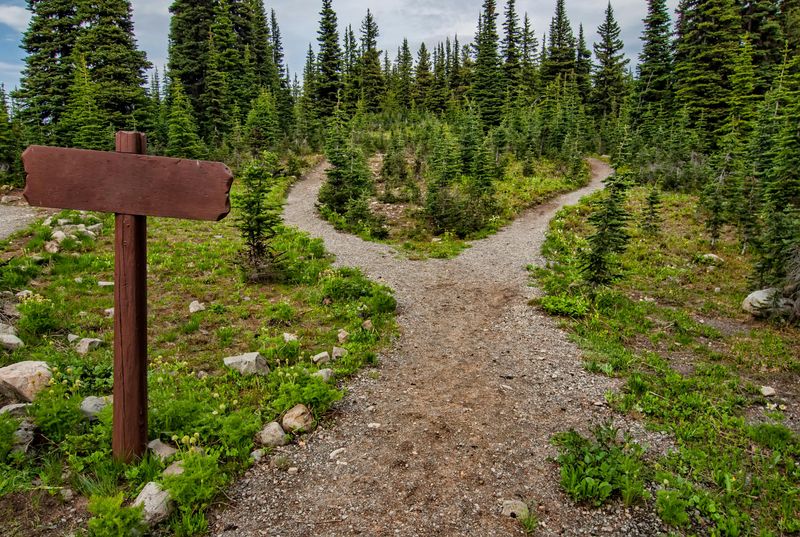 Foot Traffic Reshapes Trails Faster