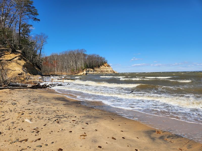 Fossil Beach: Where Prehistoric Oceans Left Their Mark