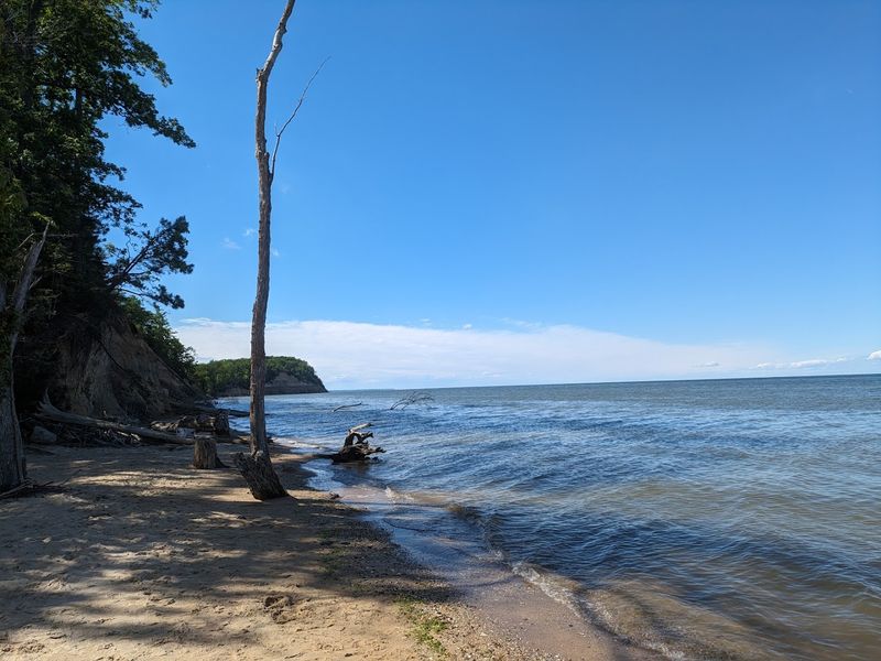 Fossil Hunting on the Shore