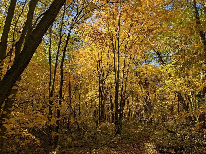 Four Seasons of Beauty That Never Gets Old
