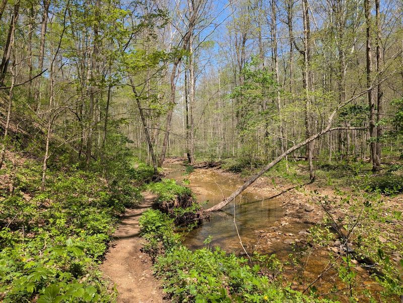 Free Entry Makes It One of the Most Accessible Adventures in Indiana