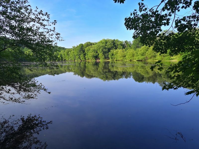 Ramapo Valley Reservation