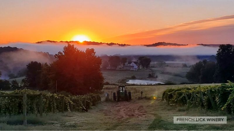French Lick and Heaven's View Vineyard