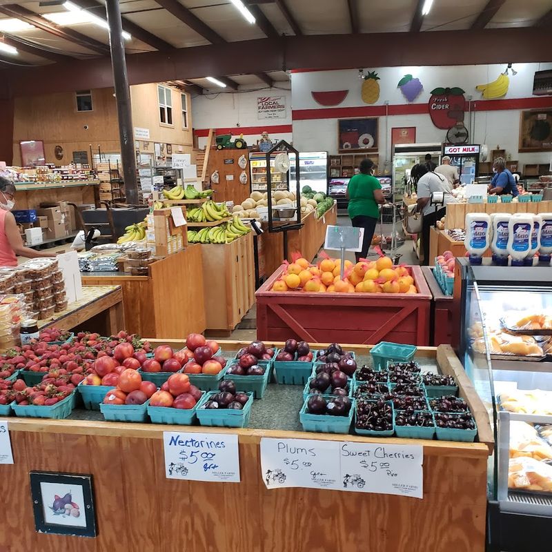 Fresh Produce Available Every Single Month of the Year