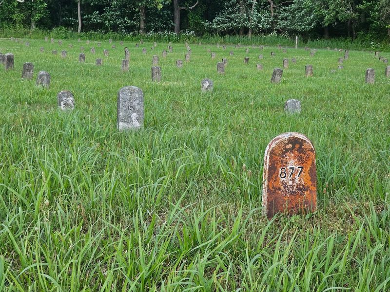 Weird NJ and the Cultural Life of a Haunted Cemetery