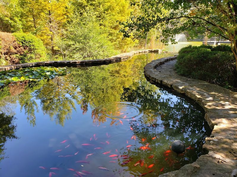 Peaceful Water Features That Calm the Mind