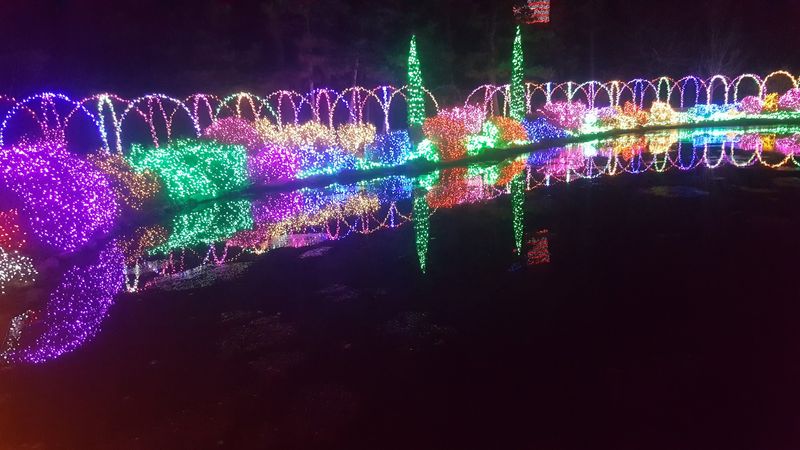 Garden of Lights Transforms the Space After Dark Garden of Lights Transforms the Space After Dark