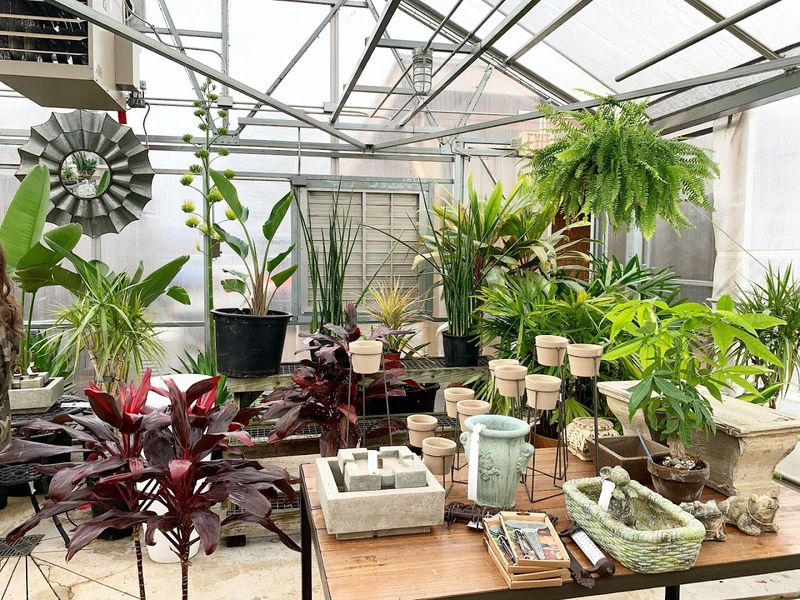 Gardening Workshops That Actually Teach You Something Real Gardening Workshops That Actually Teach You Something Real