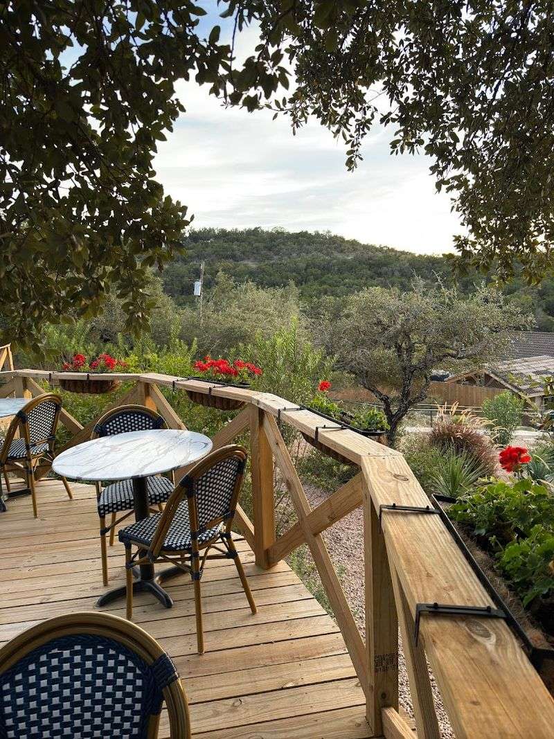 Gardens, Libraries, and Picnic Spots for Slower Mornings