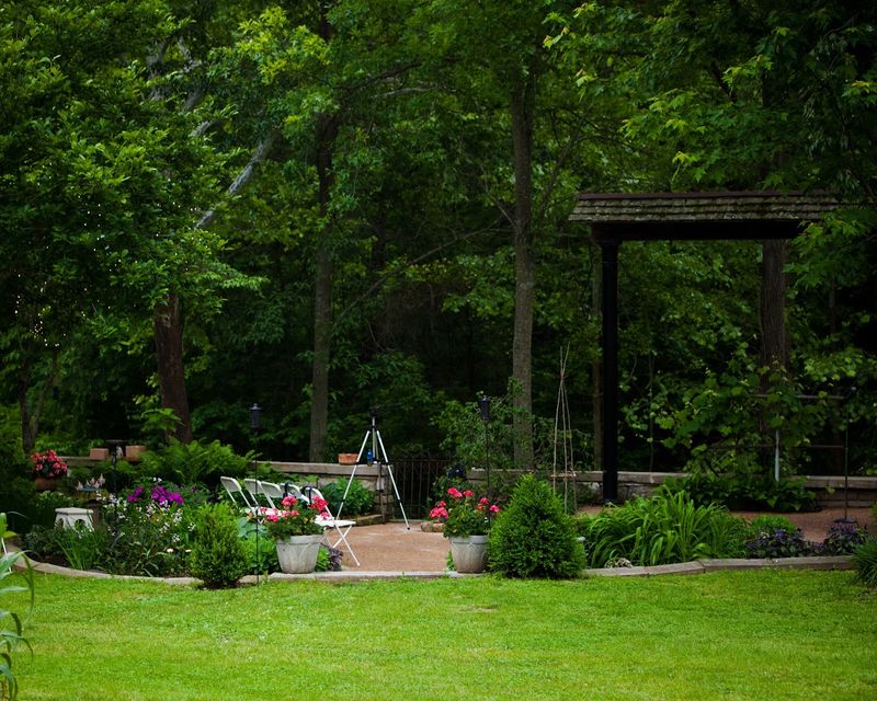 Gardens So Lush They Barely Seem Real