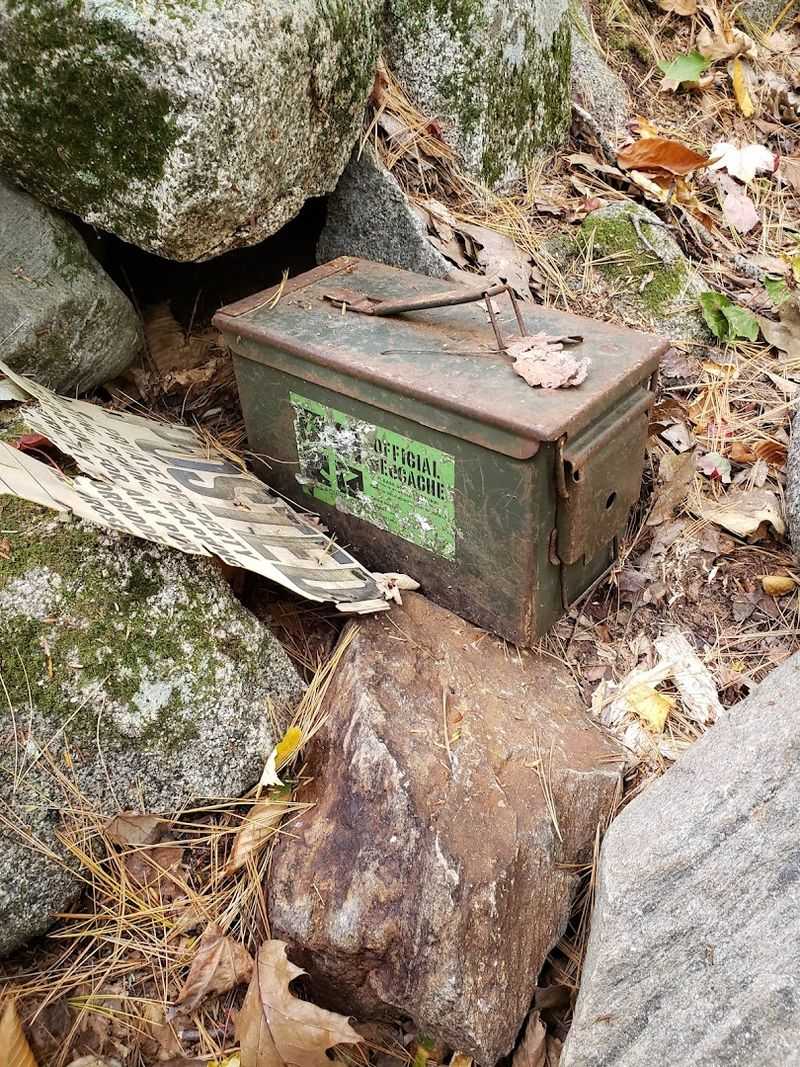 Geocaching Adventures Hidden In The Trees