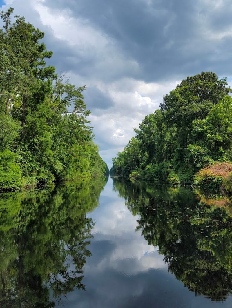 George Washington, the Dismal Swamp Company, and a Colonial Gamble