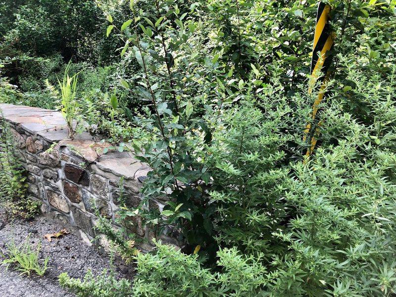 German Valley's Forgotten Corner Along Black River Road