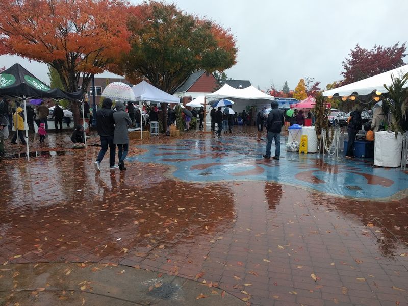 Getting There And Navigating The Crowds