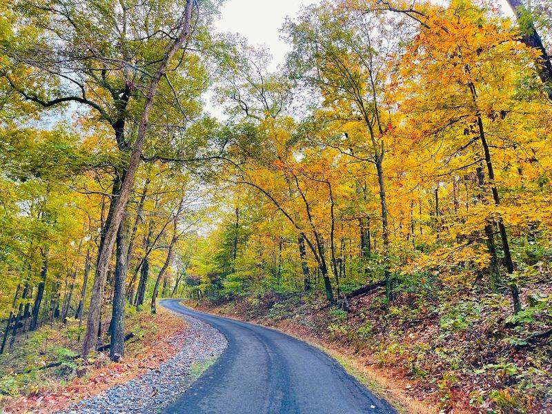 Getting There From Baltimore or D.C. Is Easier Than You Think