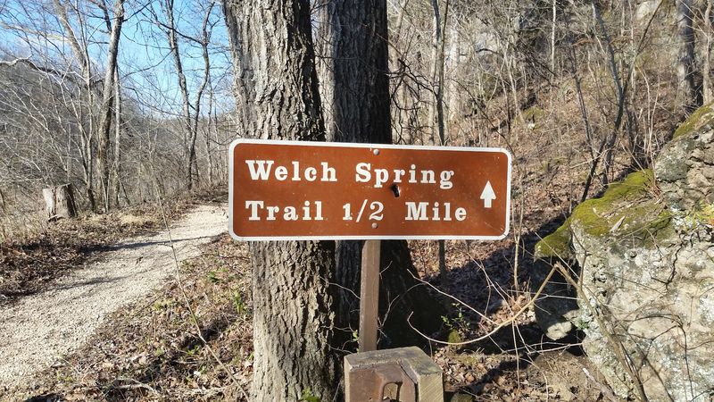 Getting There Is Part of the Adventure