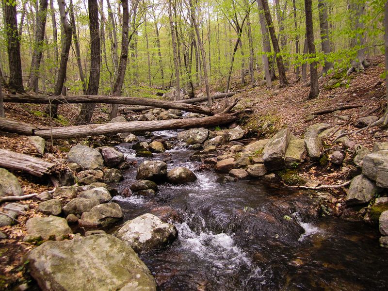 Getting There: The Hike Up Torne Mountain