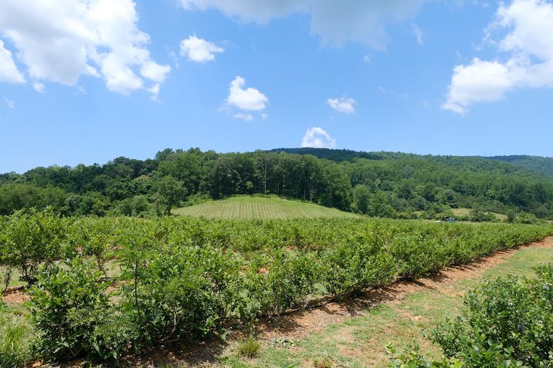 Getting There and Making the Most of Your Visit to Crozet Getting There and Making the Most of Your Visit to Crozet