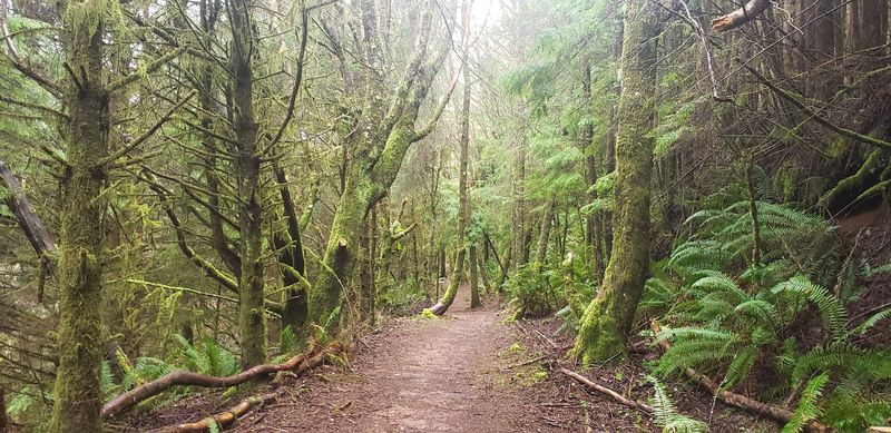 Getting to Cape Meares from Tillamook