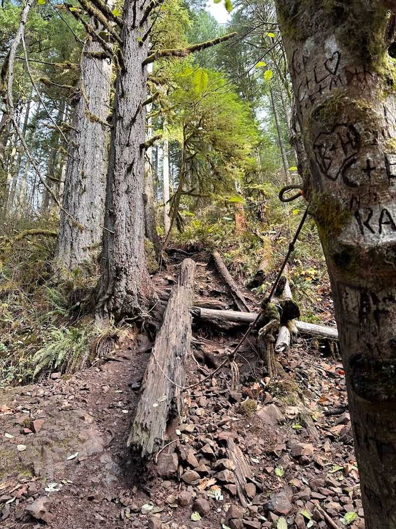 Getting to the Trailhead: The Road Less Paved